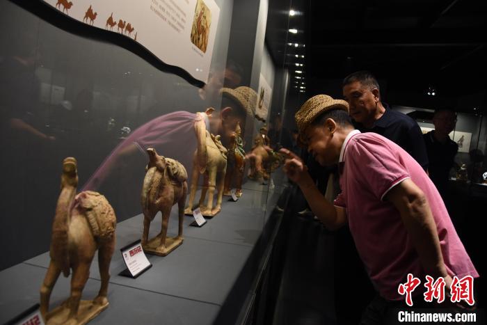 image.jpeg image.jpeg