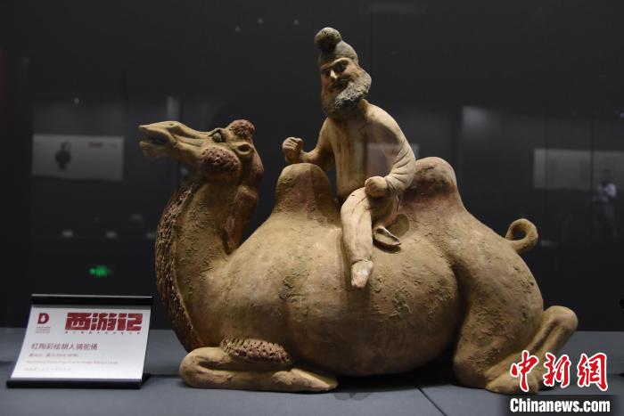 image.jpeg image.jpeg